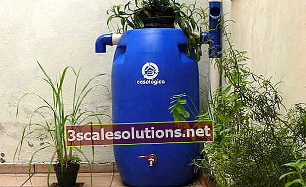Mini cisterna: sistema di raccolta della pioggia