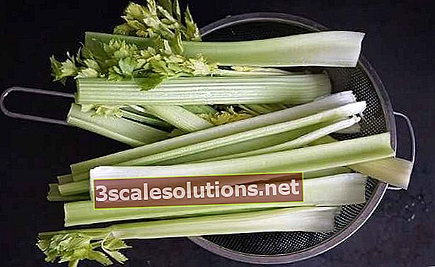 Salierai: salierų receptai ir nauda sveikatai