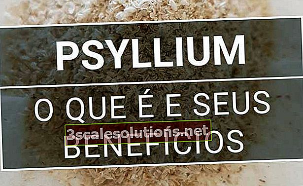 Psyllium: fahami apa gunanya dan gunakan untuk keuntungan anda