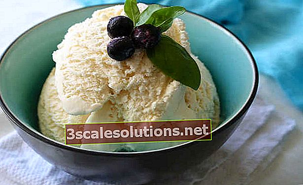 Domácí zmrzlina: naučte se připravovat sedm receptů