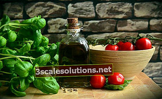 Bazalka, olivový olej a cherry rajčata