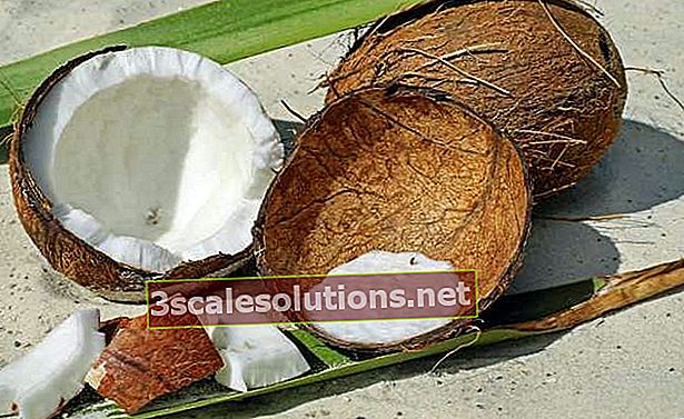 Sušený kokos