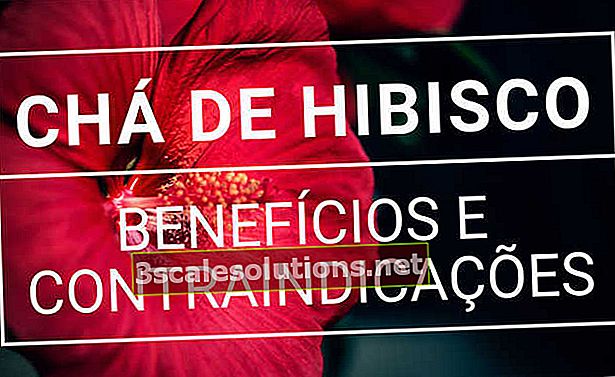 Hibiscus-tee: mihin se on tarkoitettu